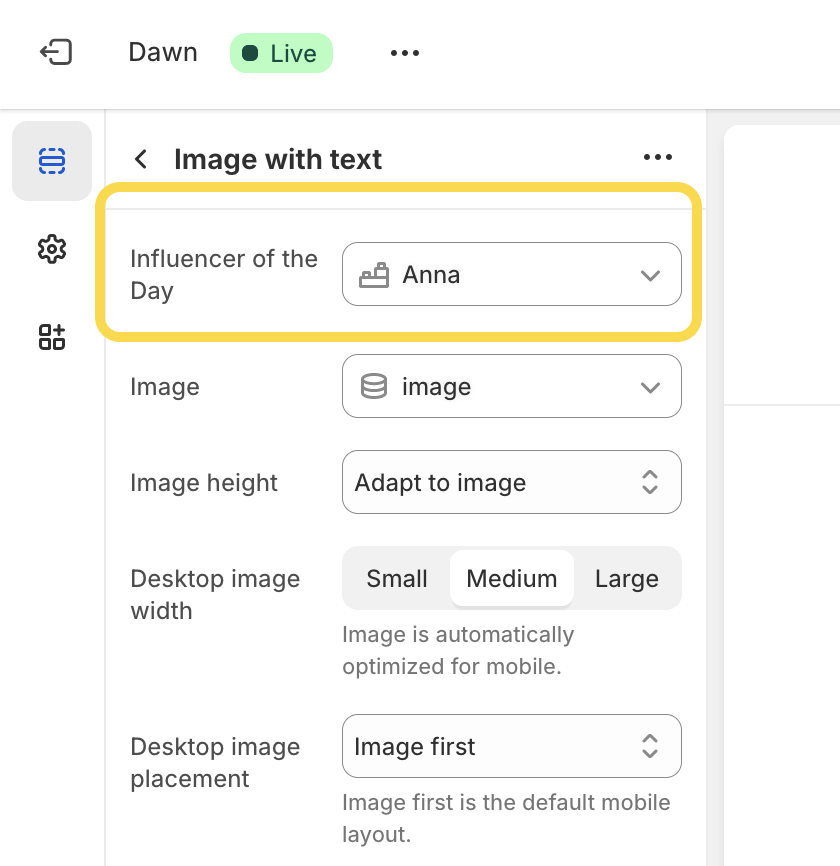 Metaobject theme settings